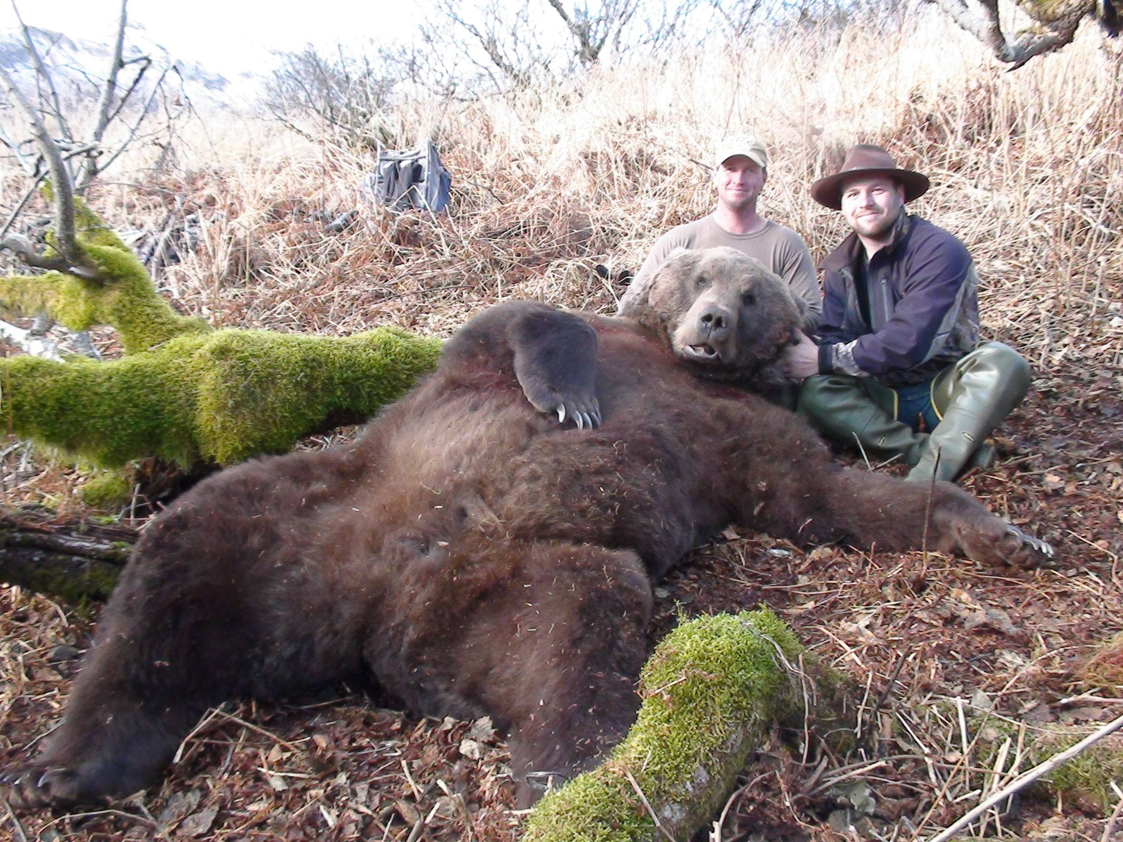 Kodiak Bear, hunters, brown bear carcass, Full HD Desktop Wallpaper