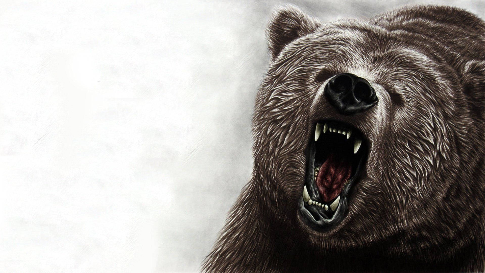 Kodiak Bear, fierce brown bear, roars with bared teeth, Full HD Desktop Wallpaper