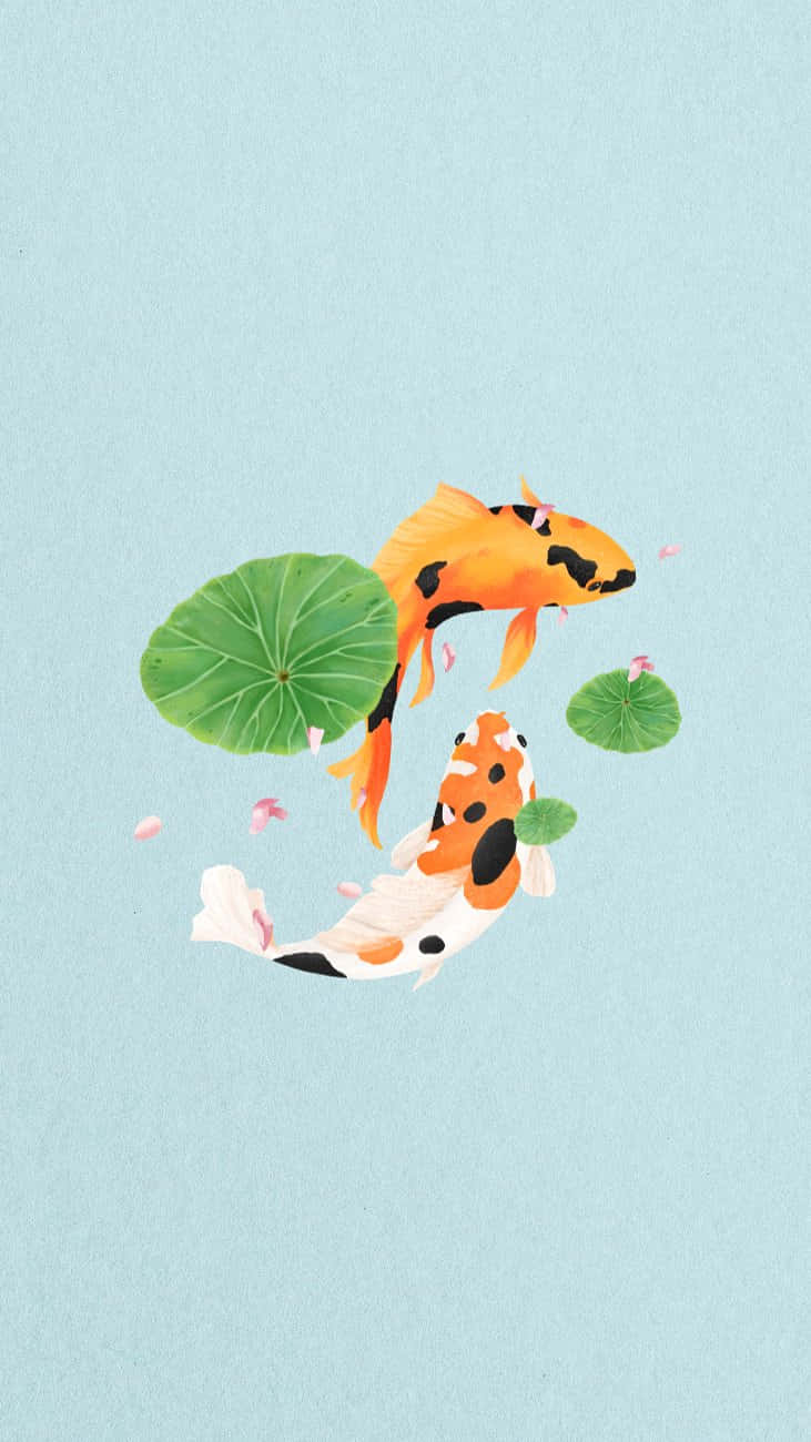koi fish, green lily pads, floating pink petals, HD Phone Wallpaper