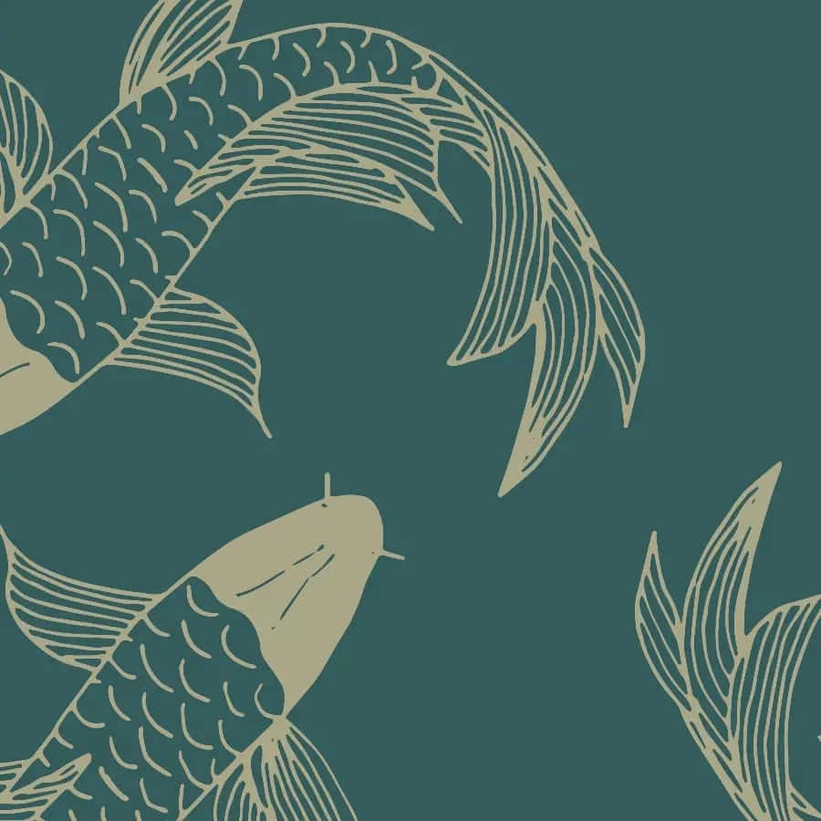 koi fish, beige, detailed scales, SD Desktop Wallpaper