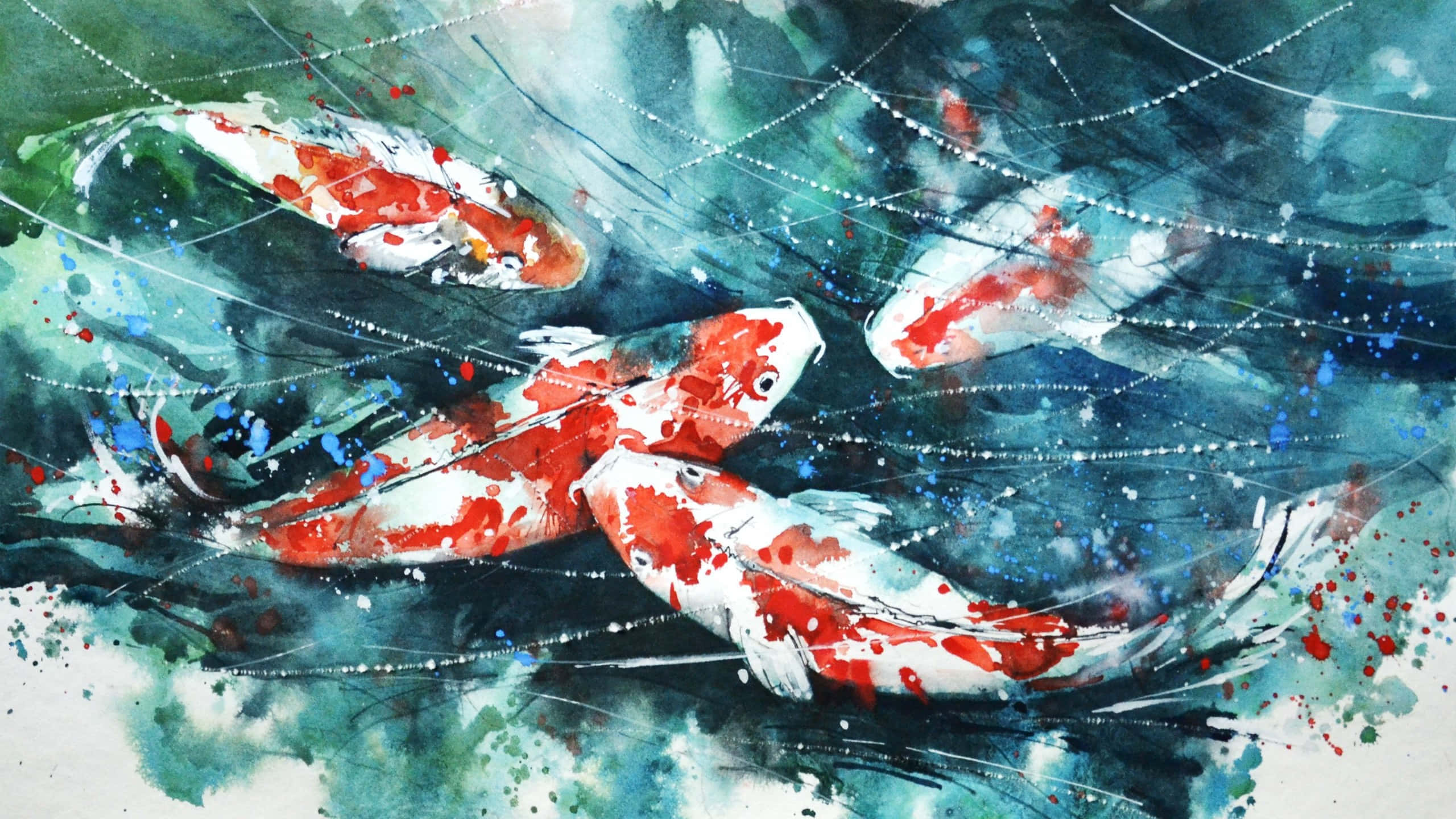 Live Koi Fish, red and white koi fish, swirling teal water, 2K Desktop Wallpaper
