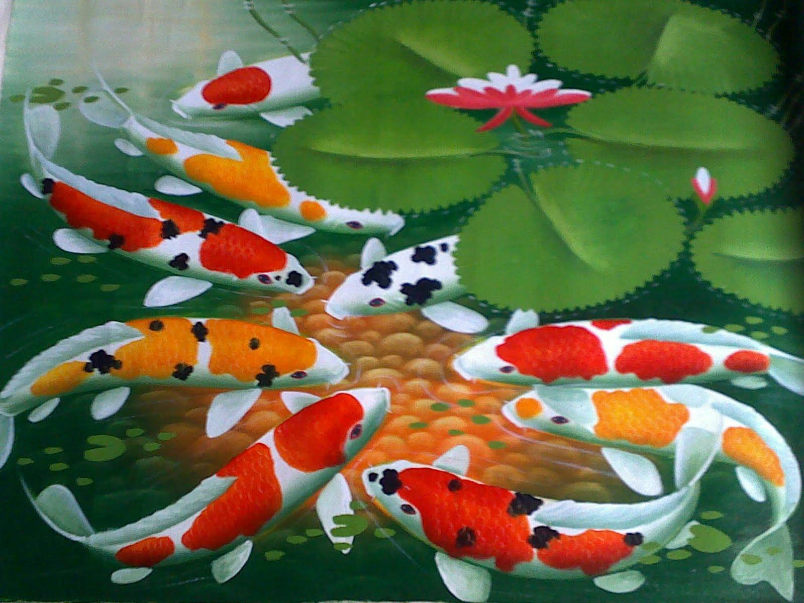 koi fish, lily pads, pink water lily, HD Desktop Wallpaper