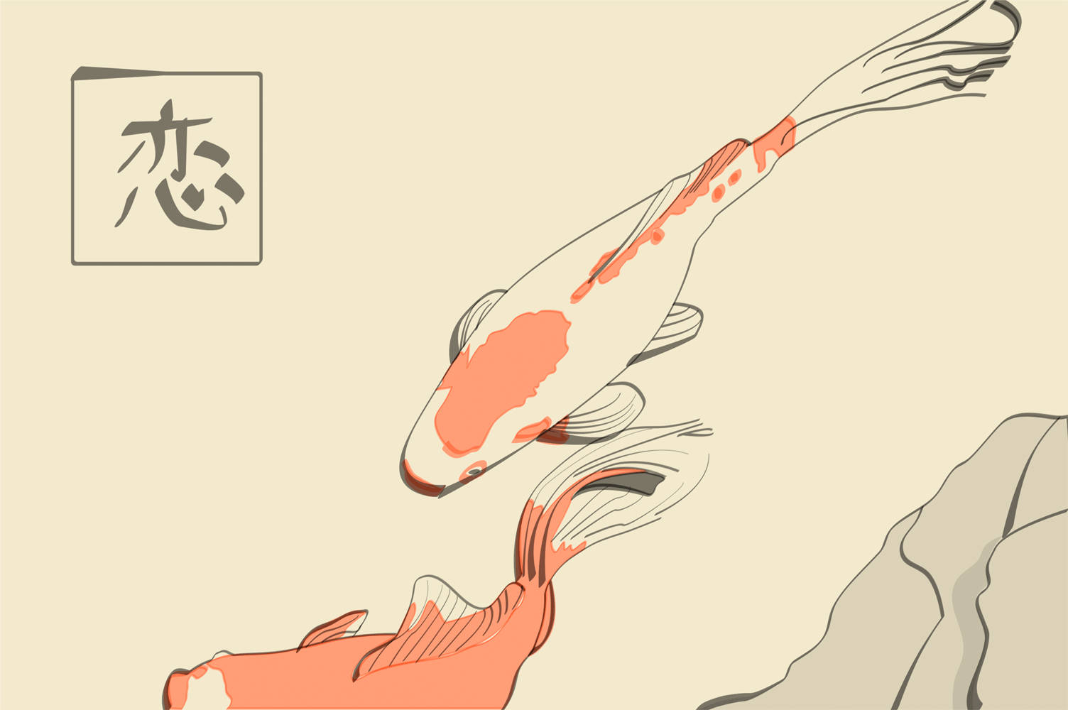 koi fish, pond, rock, HD Desktop Wallpaper