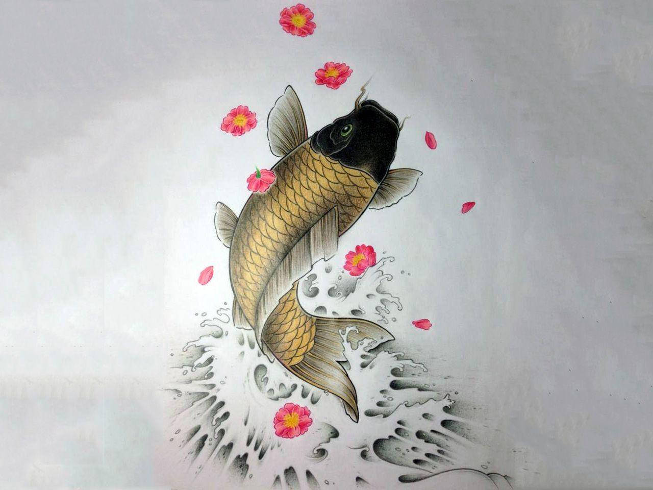 koi fish, golden koi fish, leaps through splashing water, HD Desktop Wallpaper