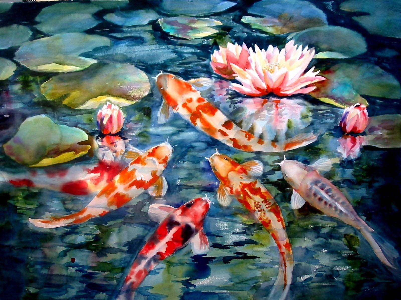 koi fish, lily pads, water lilies, HD Desktop Wallpaper
