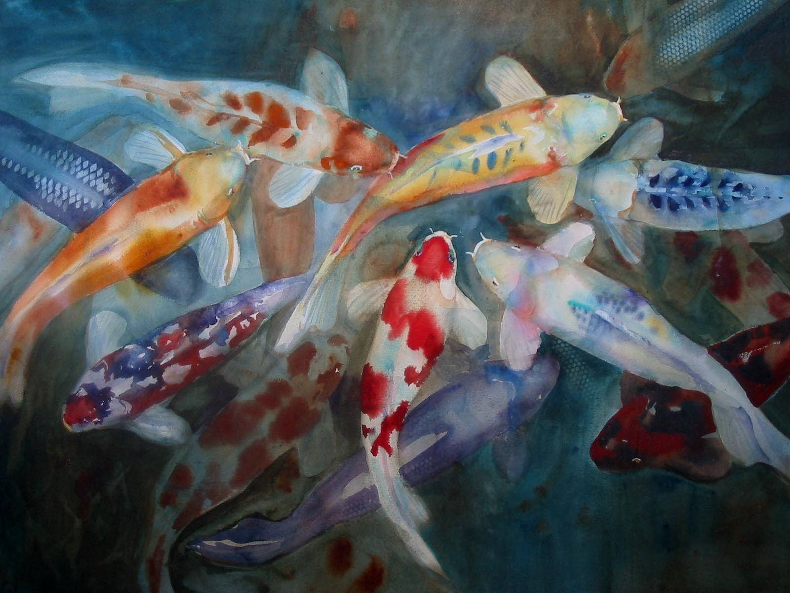 koi fish, pond, watercolor washes, HD Desktop Wallpaper