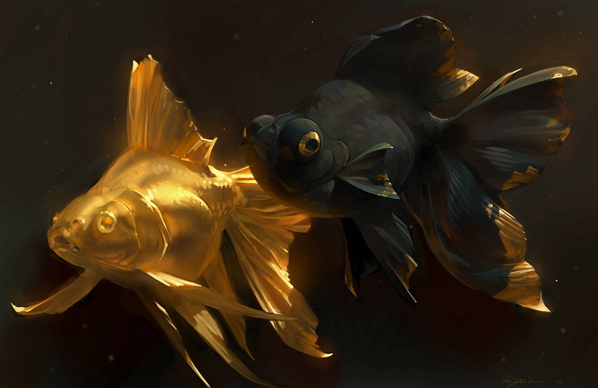 black and golden koi fish, glowing gold, deep black, Full HD Desktop Wallpaper