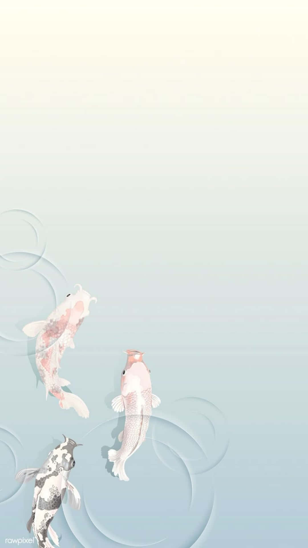 koi fish, stylized koi fish, water ripples, Full HD Phone Wallpaper