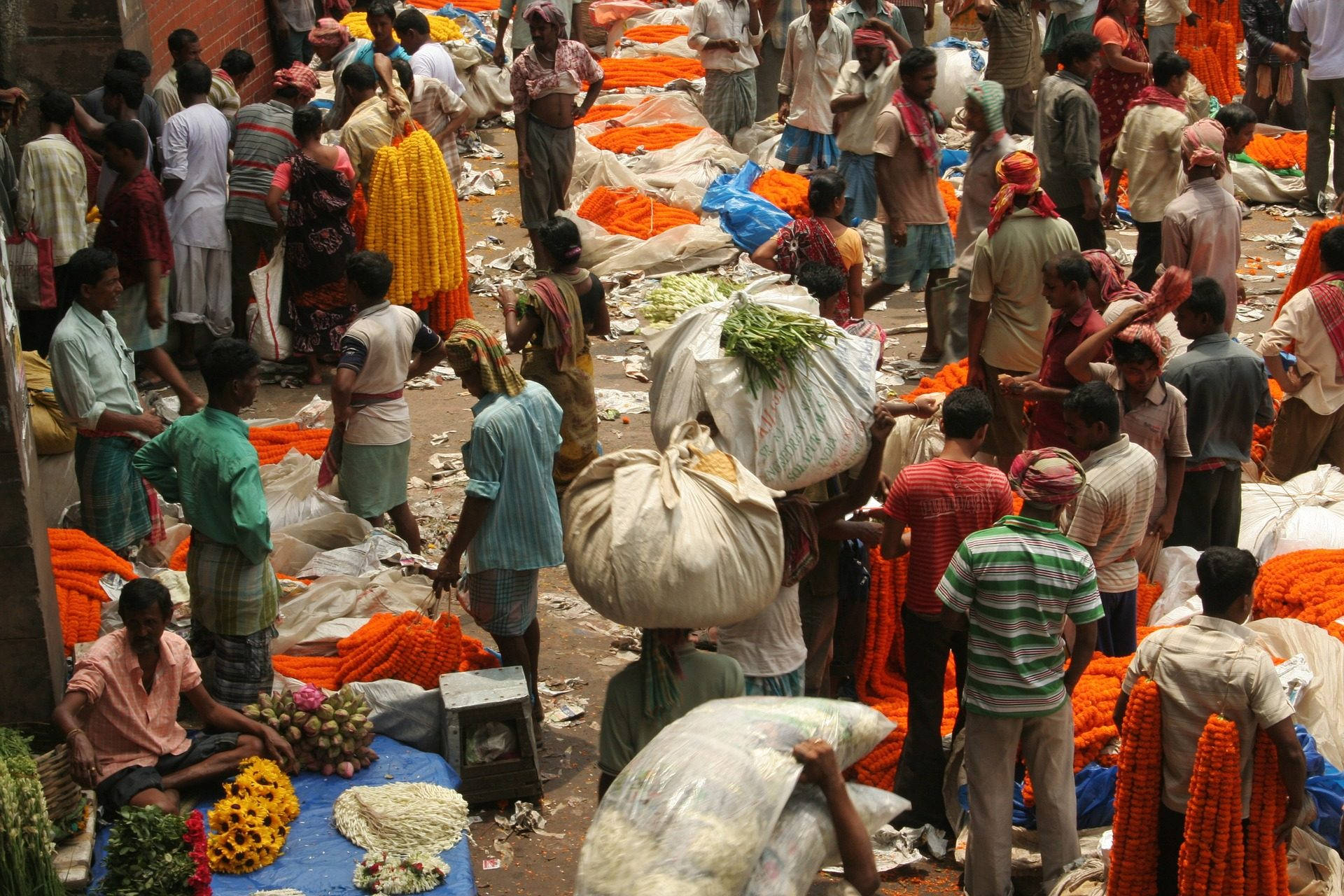 Kolkata, flower market, orange marigolds, Full HD Desktop Wallpaper