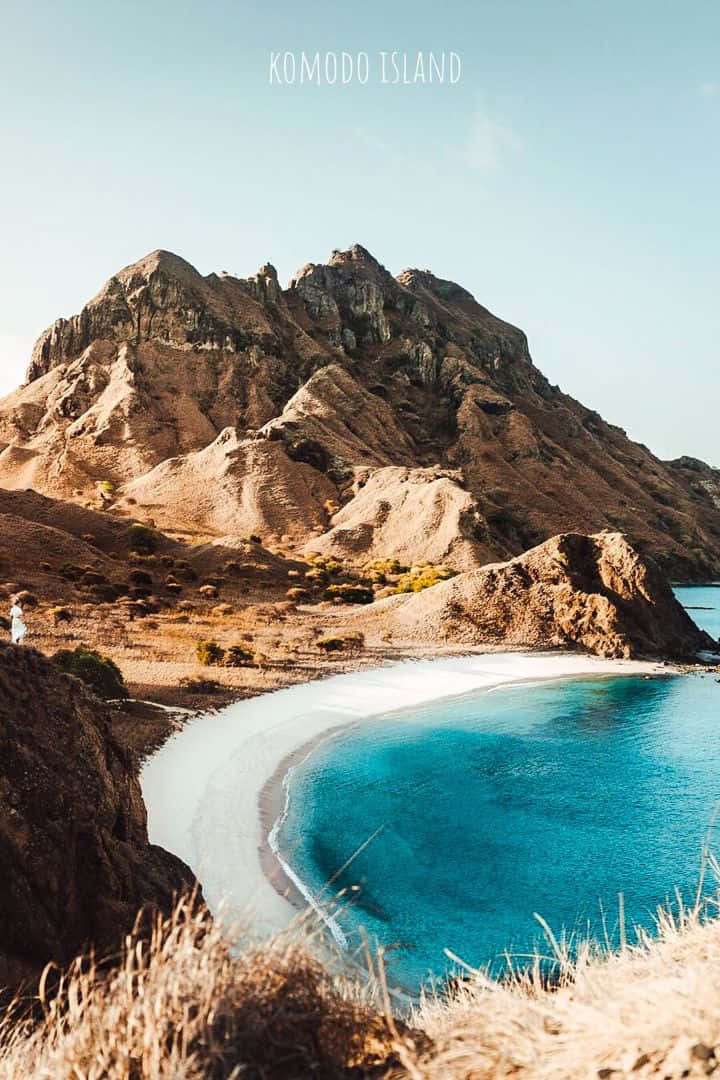 Komodo Island, white sand beach, turquoise waters, SD Phone Wallpaper