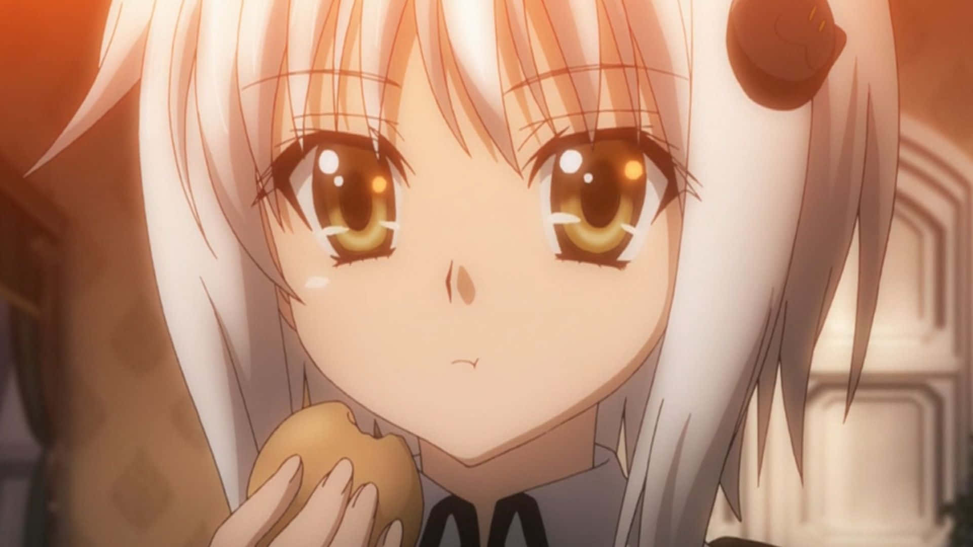 Koneko Toujou, white hair, golden eyes, Full HD Desktop Wallpaper