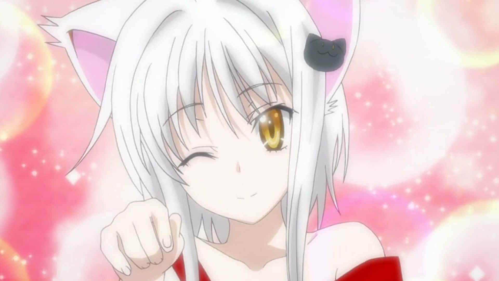 Koneko Toujou, white hair, cat ears, Full HD Desktop Wallpaper