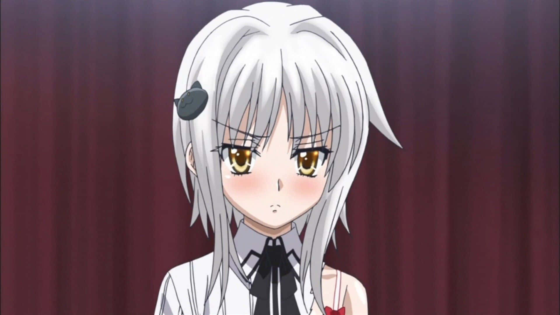 Koneko Toujou, silver-haired, golden eyes, Full HD Desktop Wallpaper