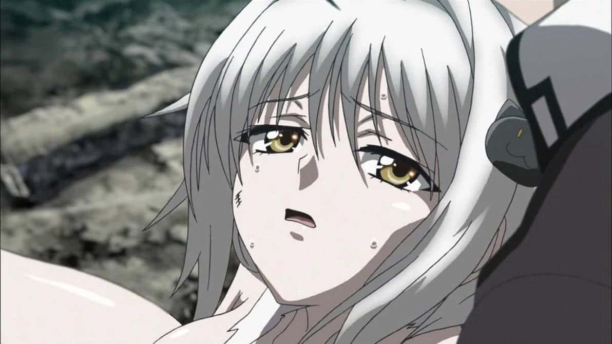 Koneko Toujou, silver-haired, golden eyes, SD Desktop Wallpaper