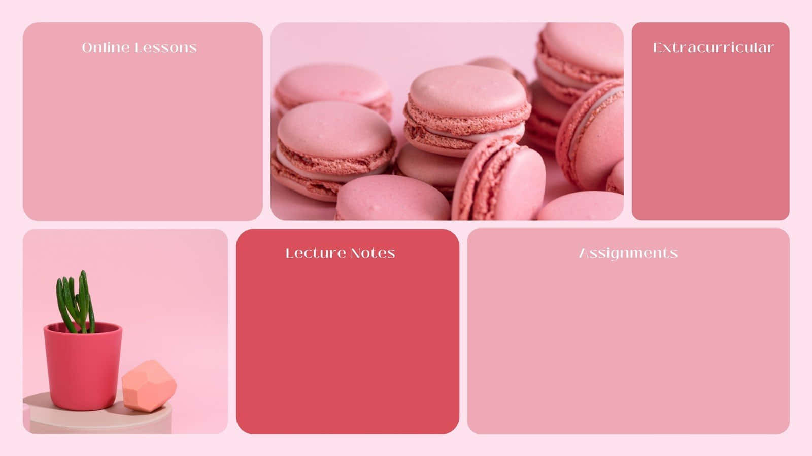 Korean Aesthetic Pink Computer, pink macarons, potted succulent, HD Desktop Wallpaper