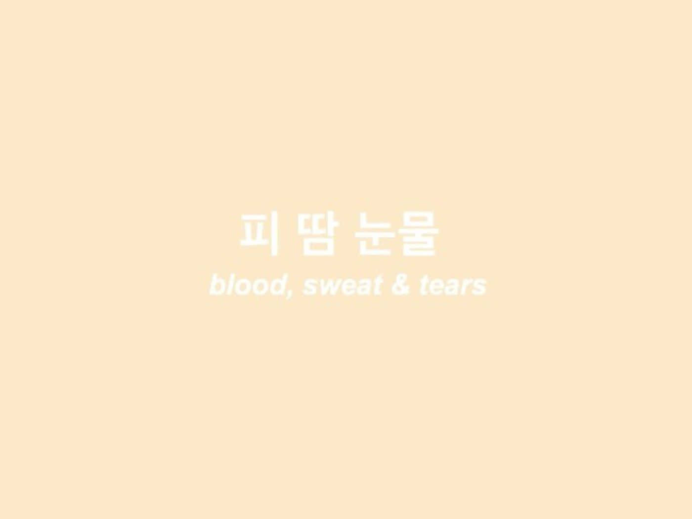 Korean Aesthetic Computer, beige, peach, HD Desktop Wallpaper