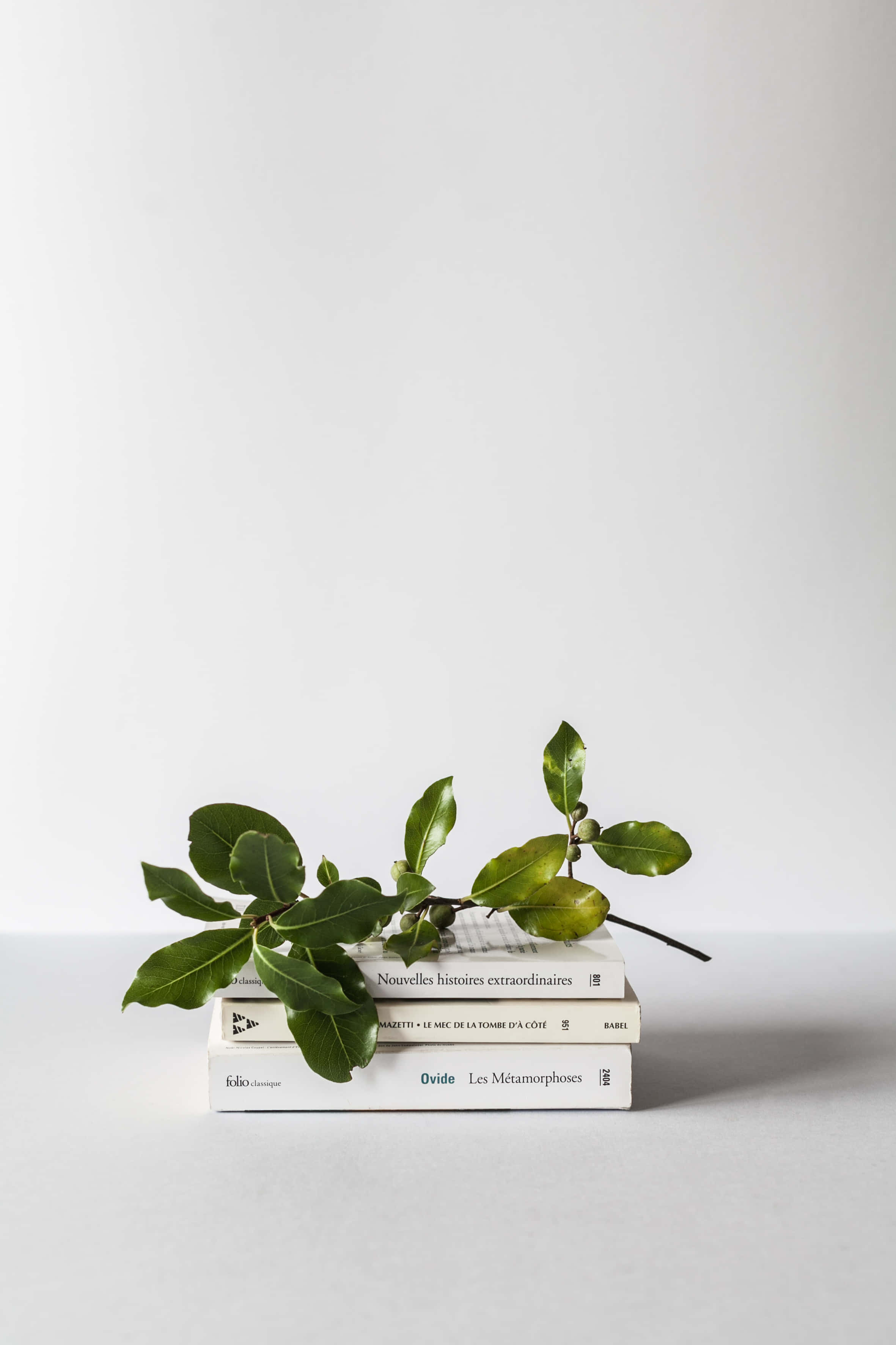 Korean Aesthetic Desktop, white books, green leafy branch, 2K Phone Wallpaper