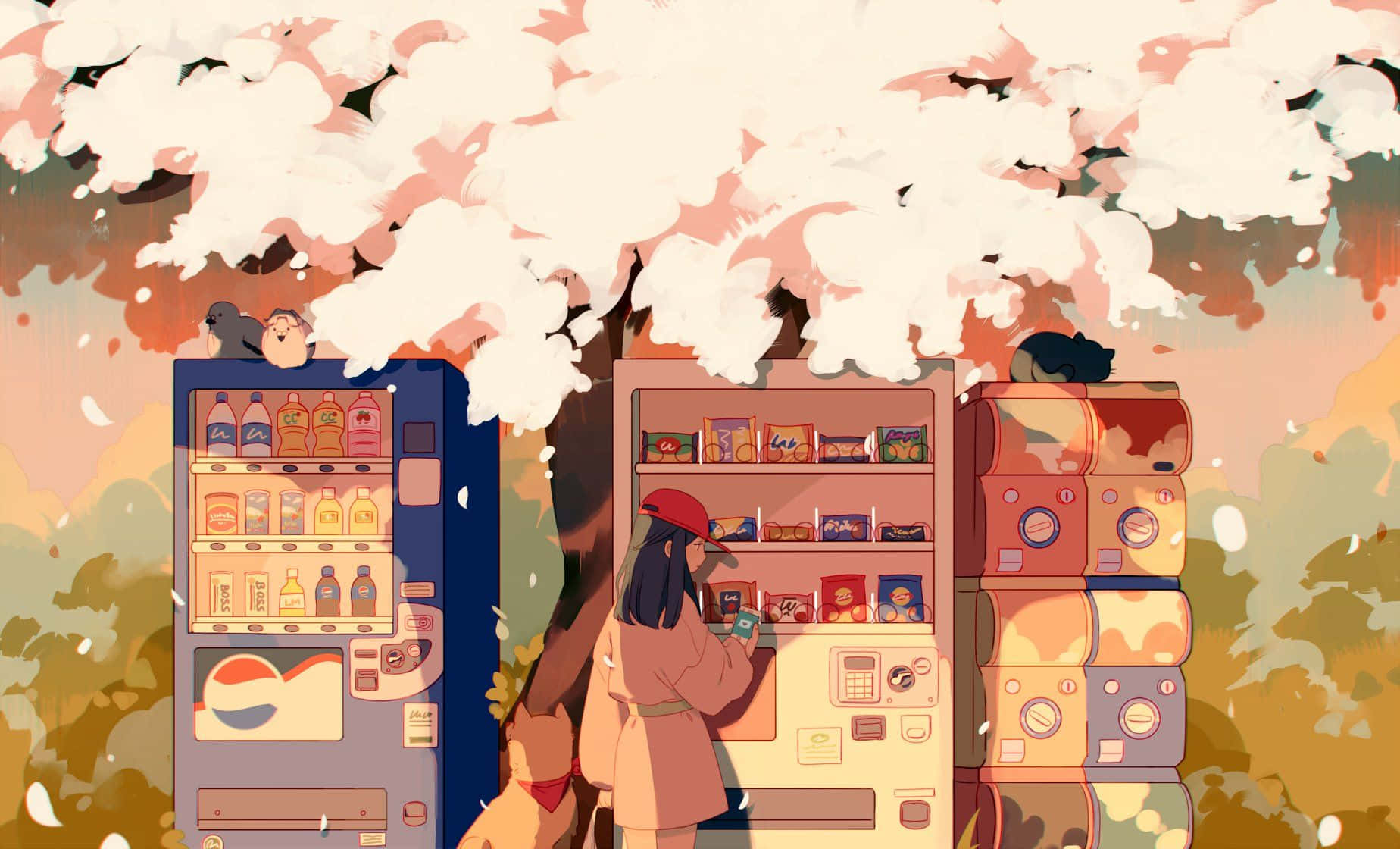 red cap, vending machine, blossoming cherry tree, HD Desktop Wallpaper