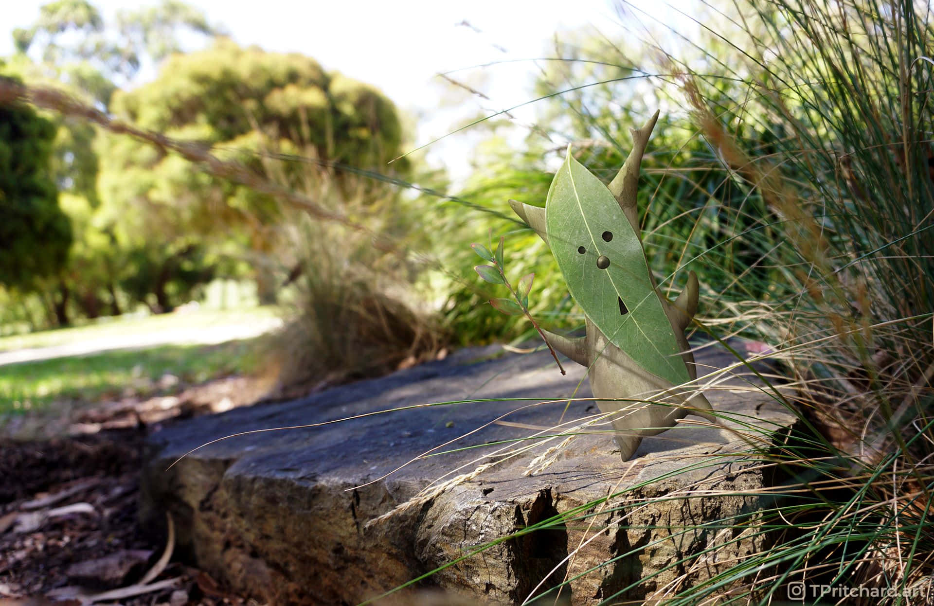 Korok, green eucalyptus leaf, weathered tree stump, Full HD Desktop Wallpaper