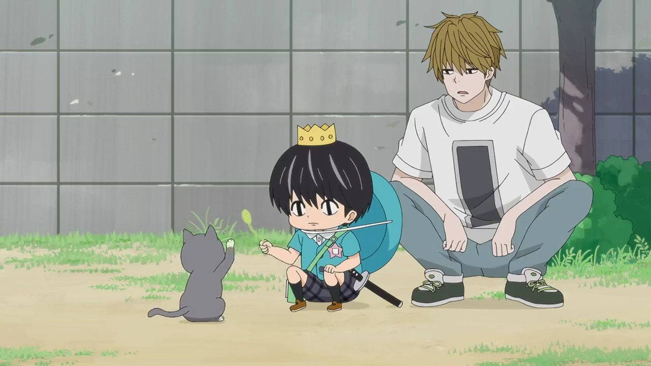 Kotaro Lives Alone, gray cat, crown, HD Desktop Wallpaper