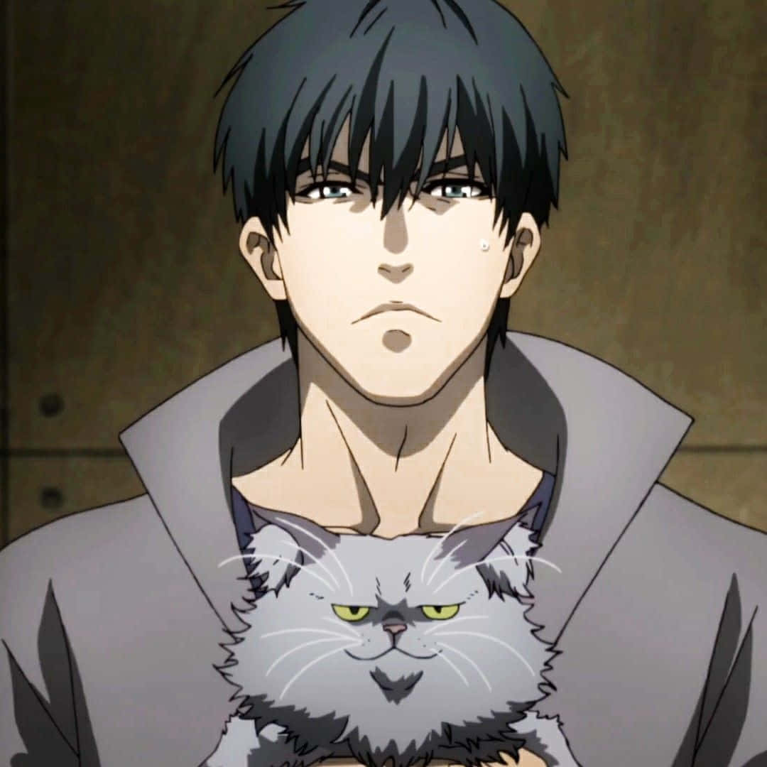 Koutarou Amon, dark hair, grumpy gray cat, SD Desktop Wallpaper