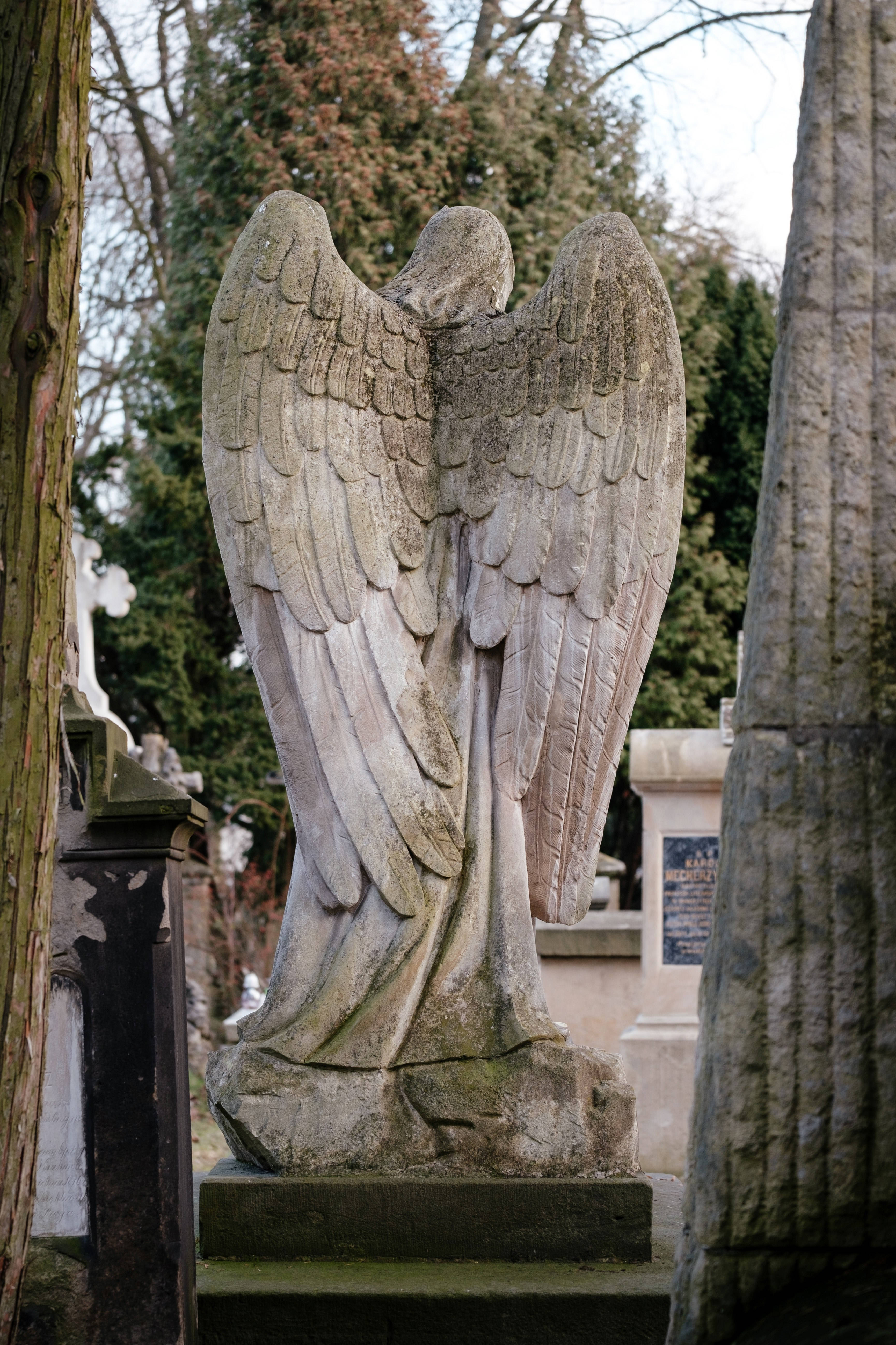 angel statue, Krakow Poland, stone, 5K Phone Wallpaper