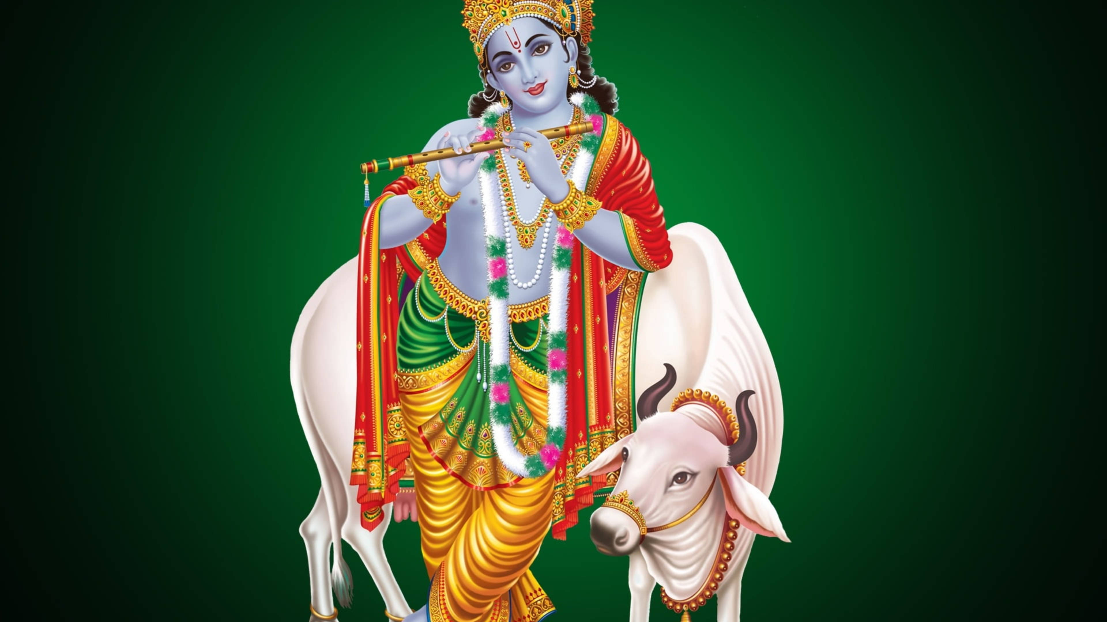 Krishna, flute, decorated white cow, 4K Desktop Wallpaper