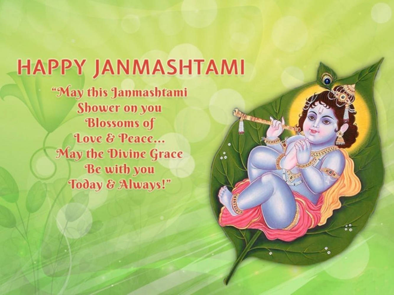 Krishna Janmashtami, blue-skinned child god, green leaf, HD Desktop Wallpaper
