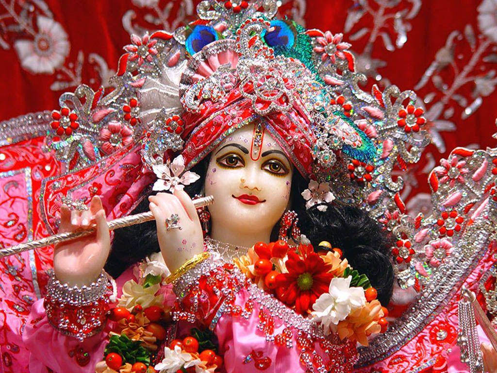 Krishna Ji, pink and red jewelry, flute, SD Desktop Wallpaper