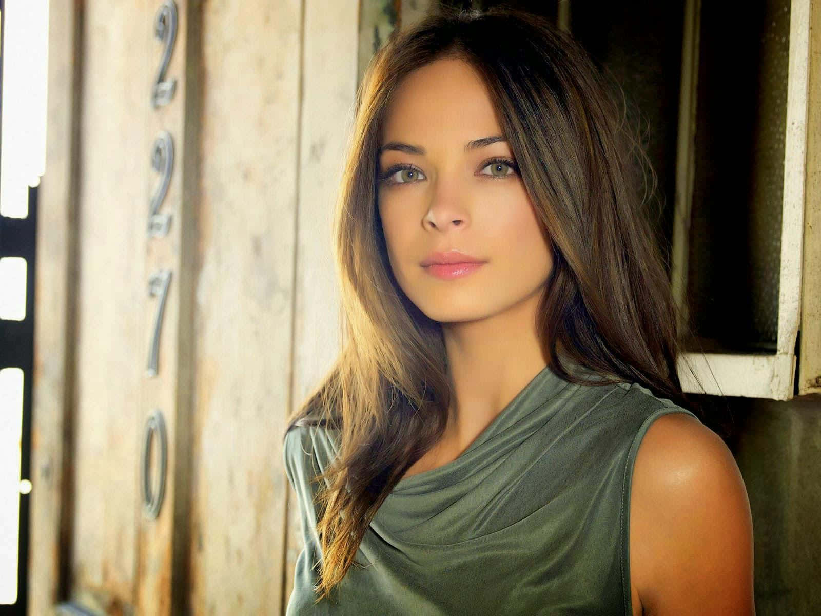 Kristin Kreuk, sunlit room, long brown hair, HD Desktop Wallpaper