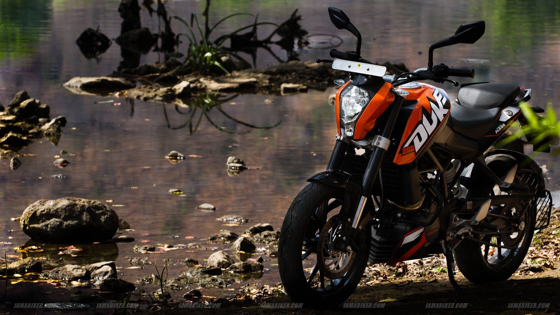 KTM Duke 200, vibrant orange, calm pond, Full HD Desktop Wallpaper