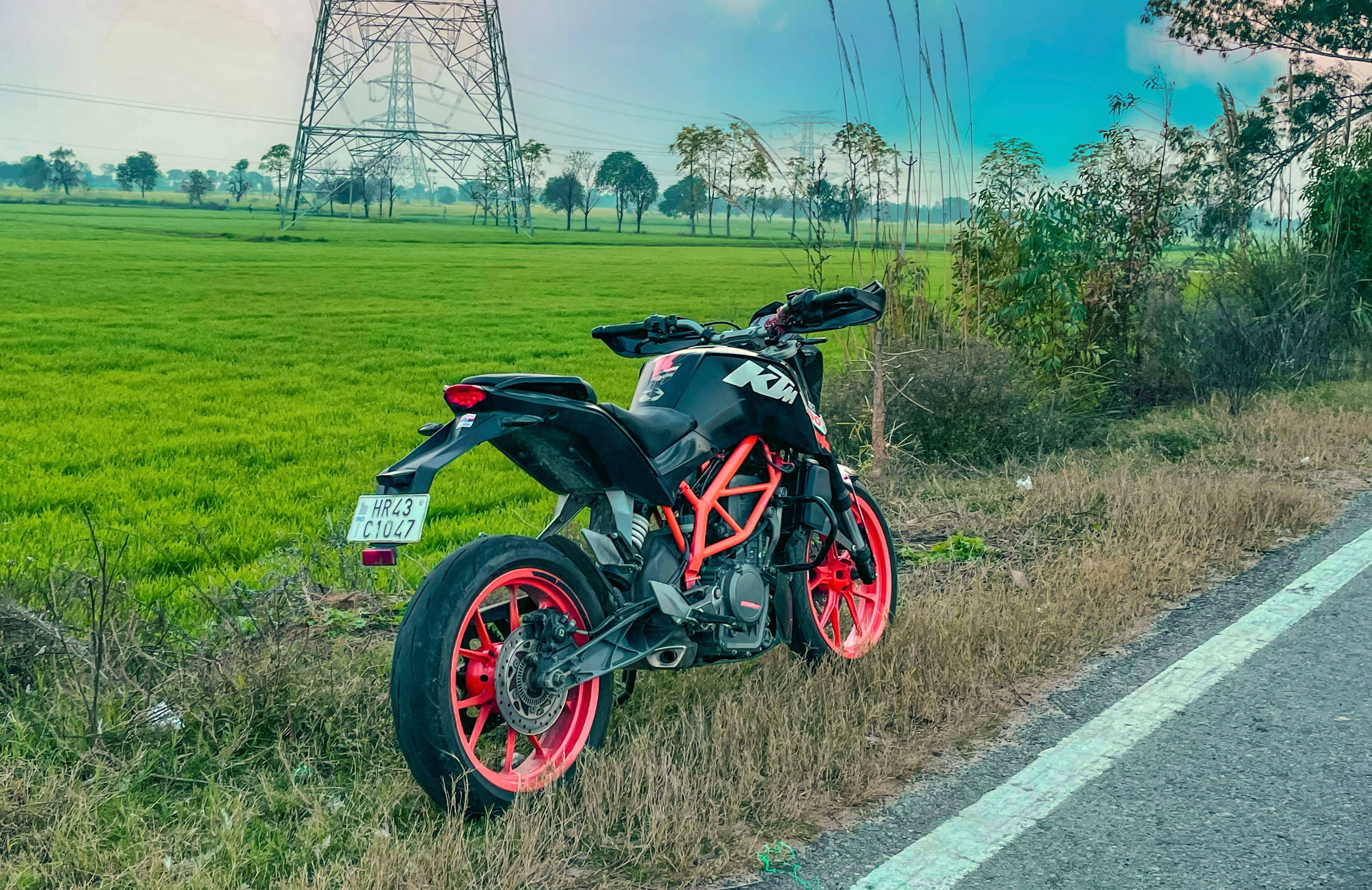 KTM Duke 200, black and red, grass, 2K Desktop Wallpaper