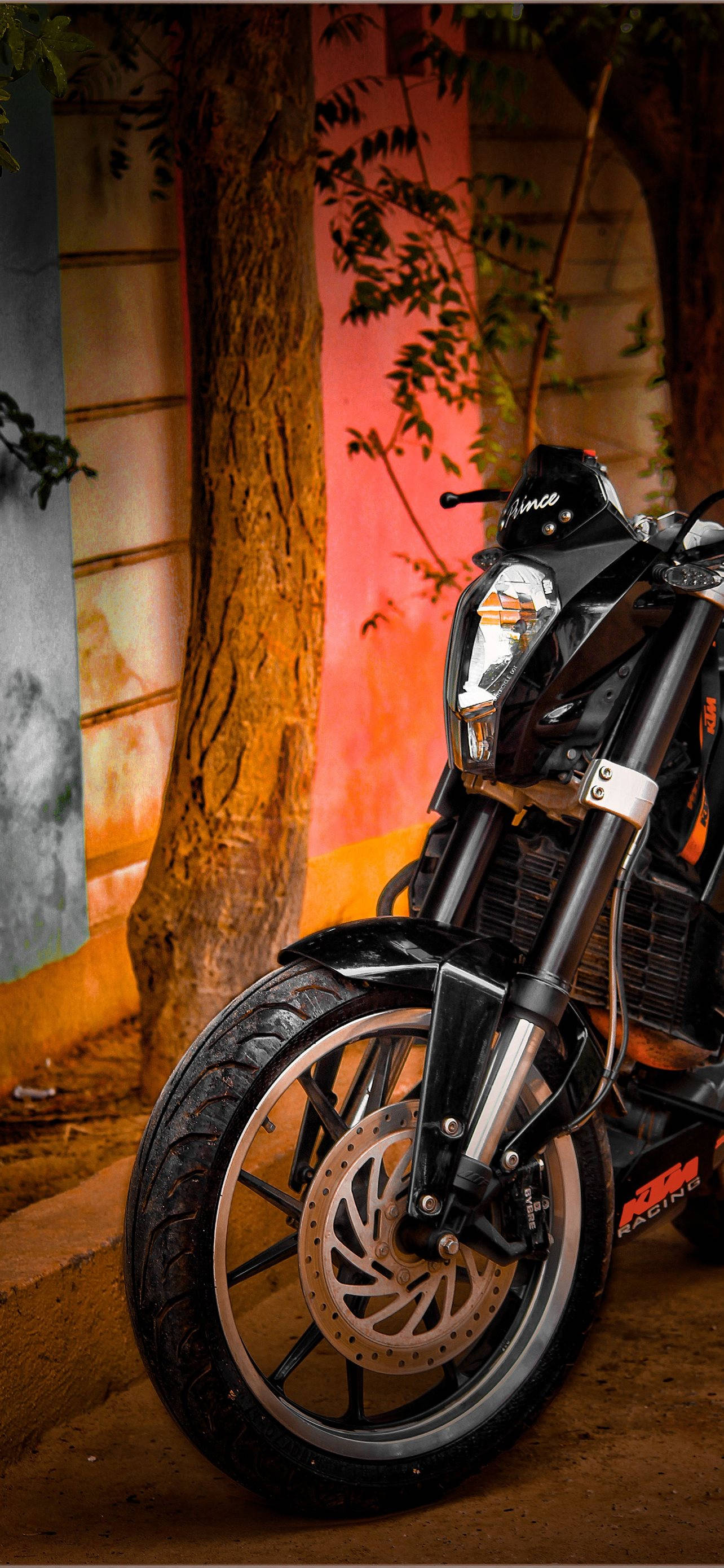KTM, black, tree, 2K Phone Wallpaper
