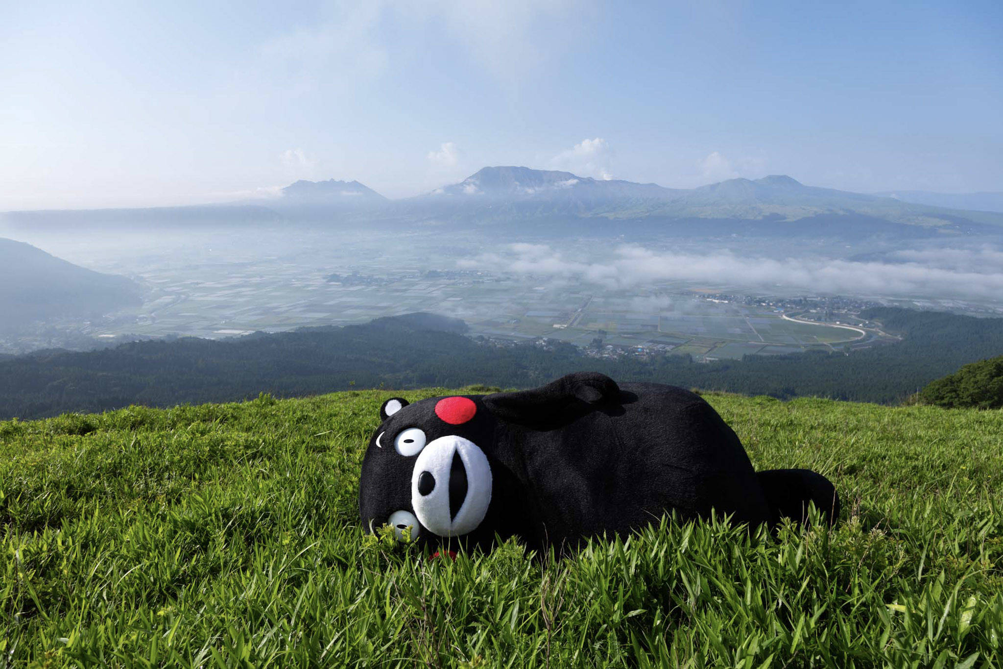 Kumamon, black bear plush toy, grassy hill, Full HD Desktop Wallpaper