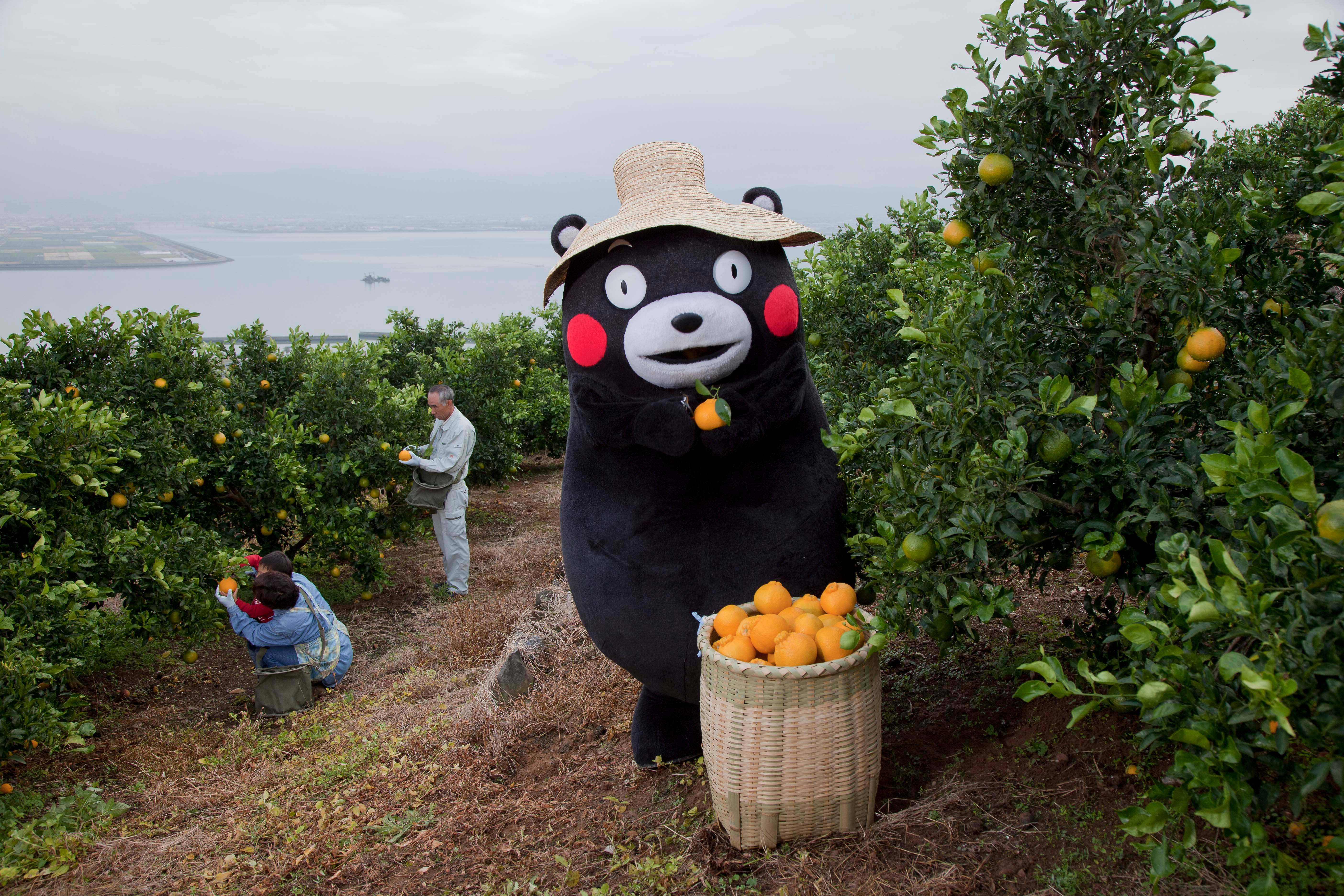 Kumamon, straw hat, orange, 5K Desktop Wallpaper