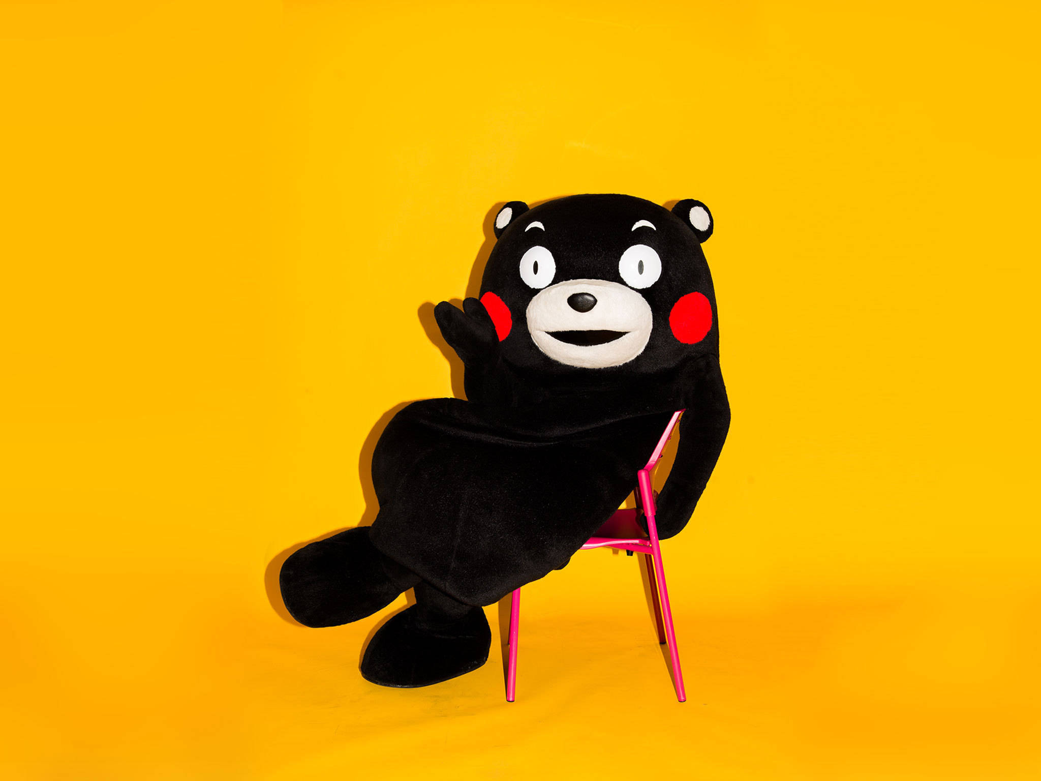 Kumamon, pink chair, black bear, Full HD Desktop Wallpaper