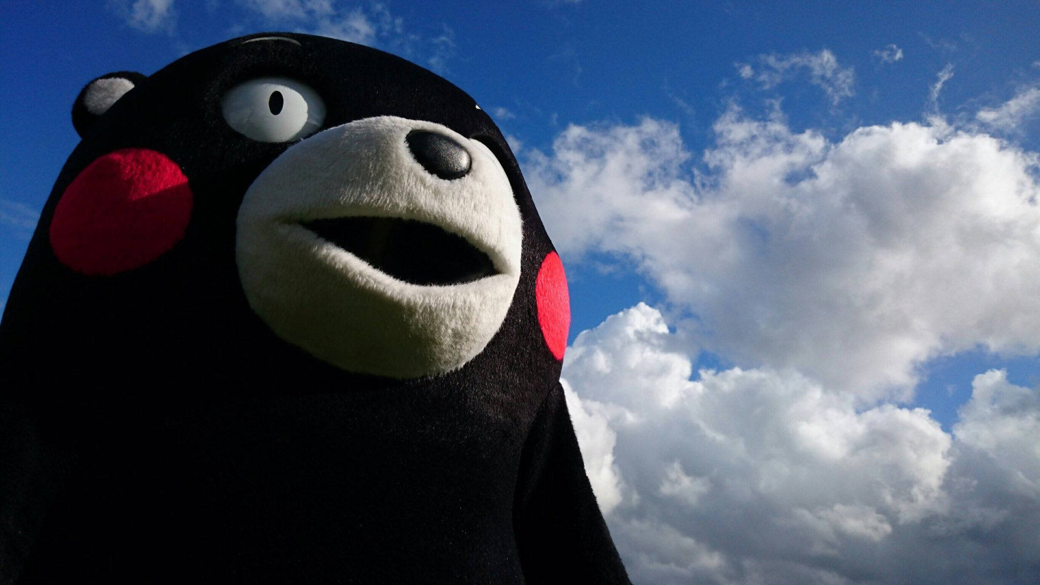 Kumamon, black bear mascot, red cheeks, Full HD Desktop Wallpaper