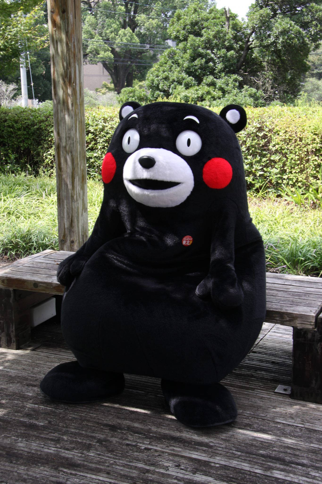 Kumamon, black, red cheeks, Full HD Phone Wallpaper