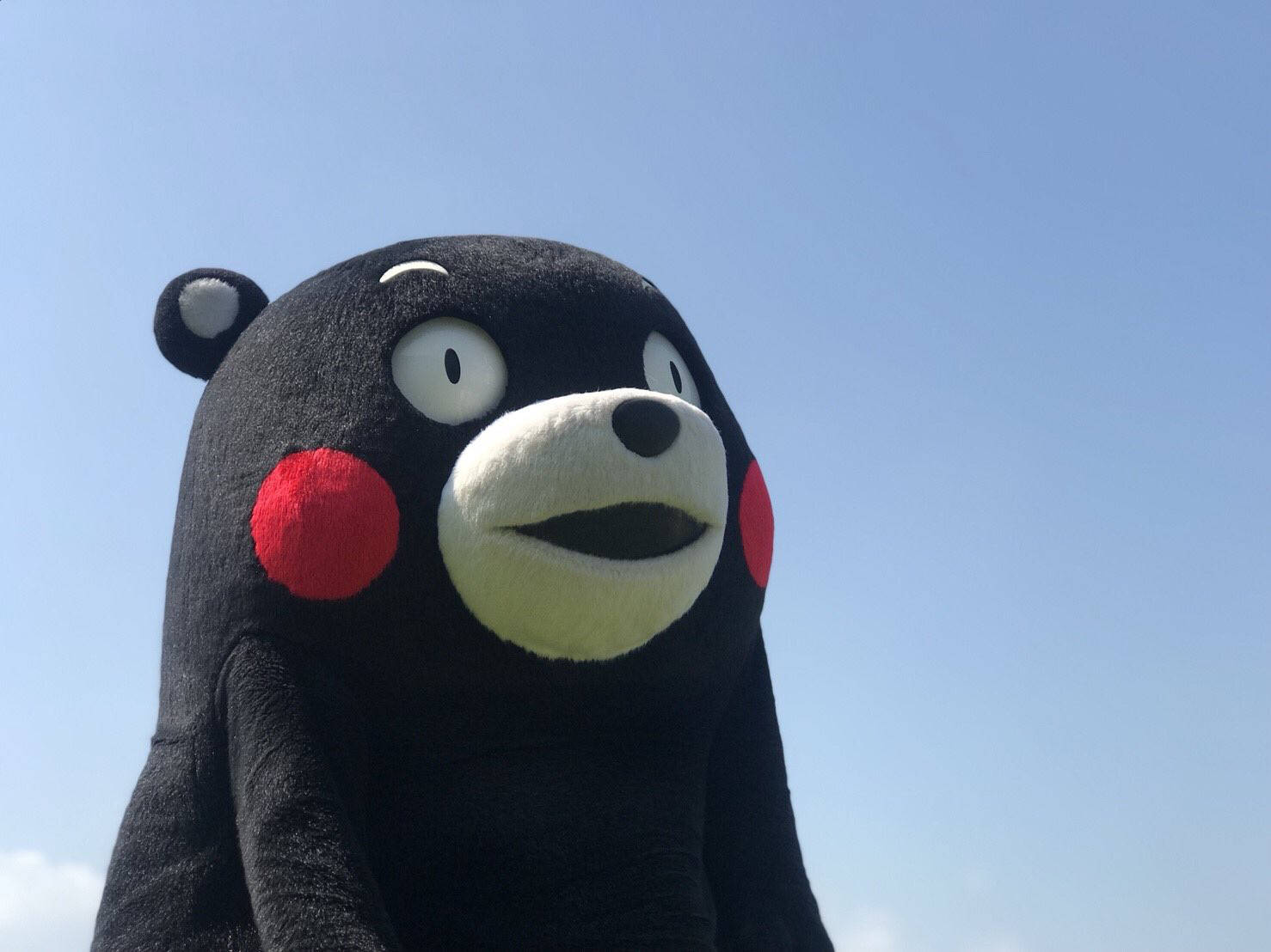Kumamon, black bear mascot, red cheeks, HD Desktop Wallpaper