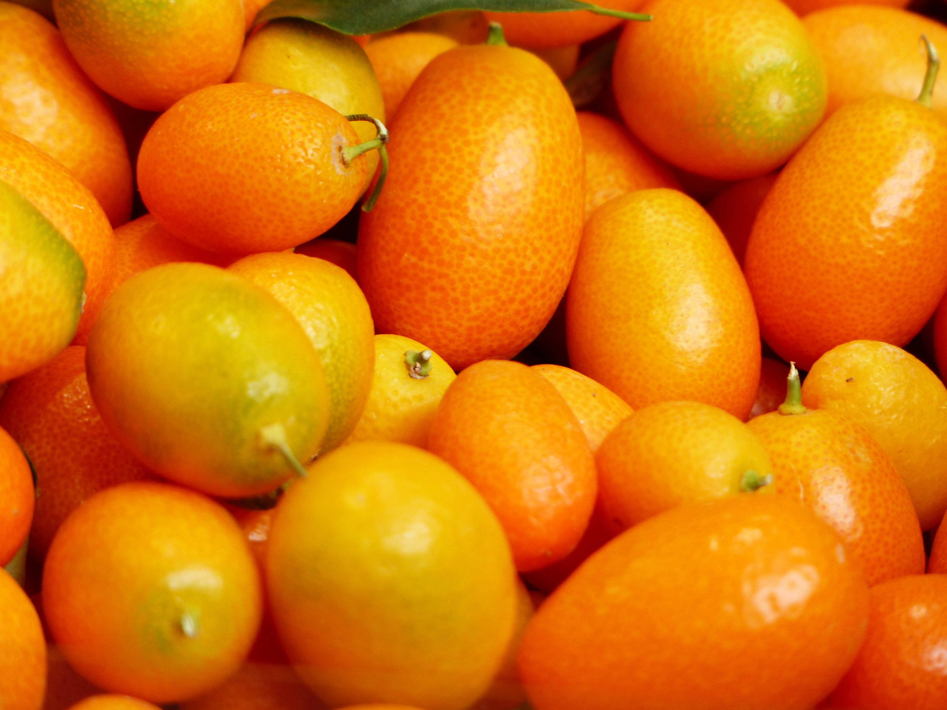 kumquat, glossy, green, 4K Desktop Wallpaper