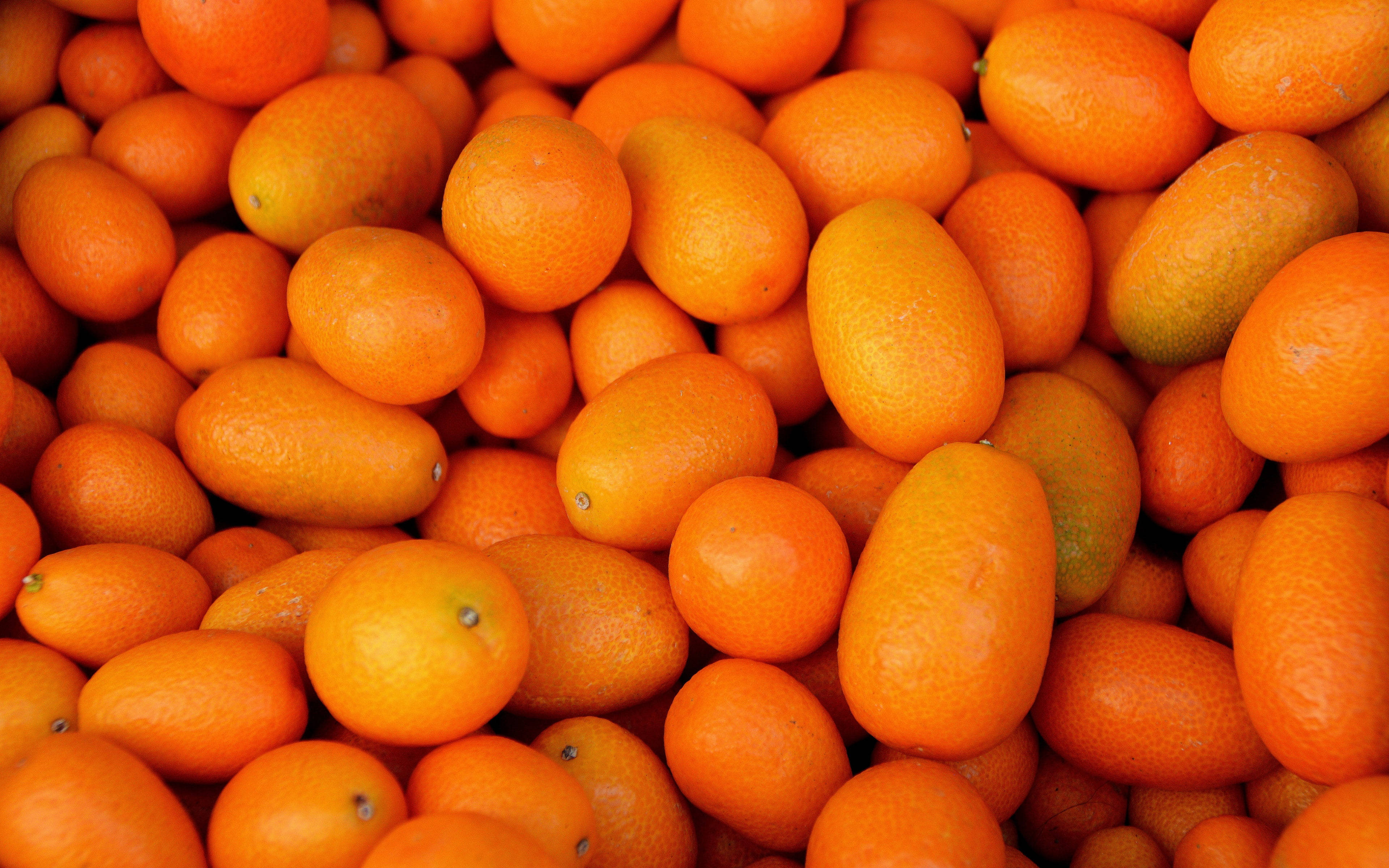 kumquat, glossy orange, textured peel, 4K Desktop Wallpaper