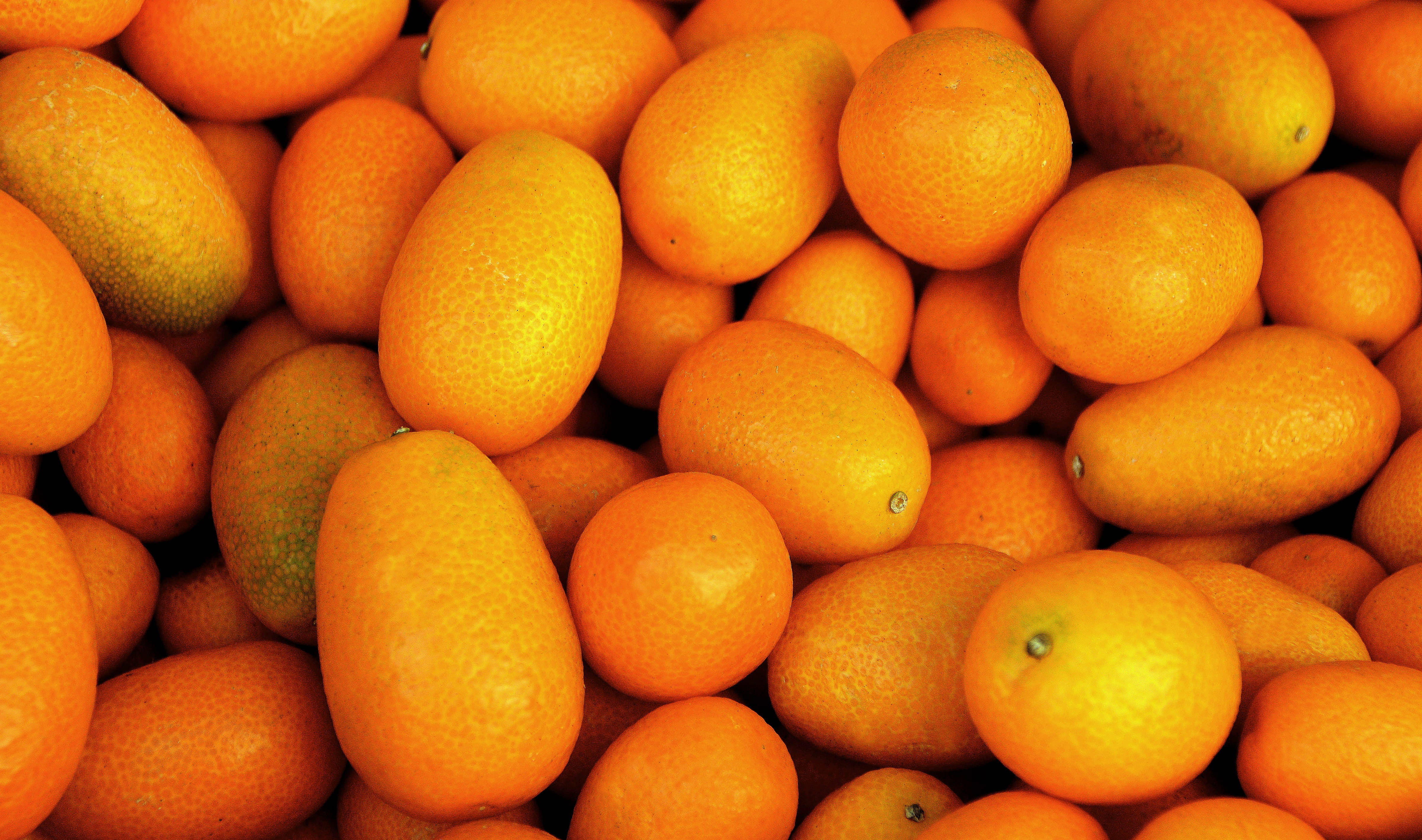 kumquat, orange, glossy, 4K Desktop Wallpaper