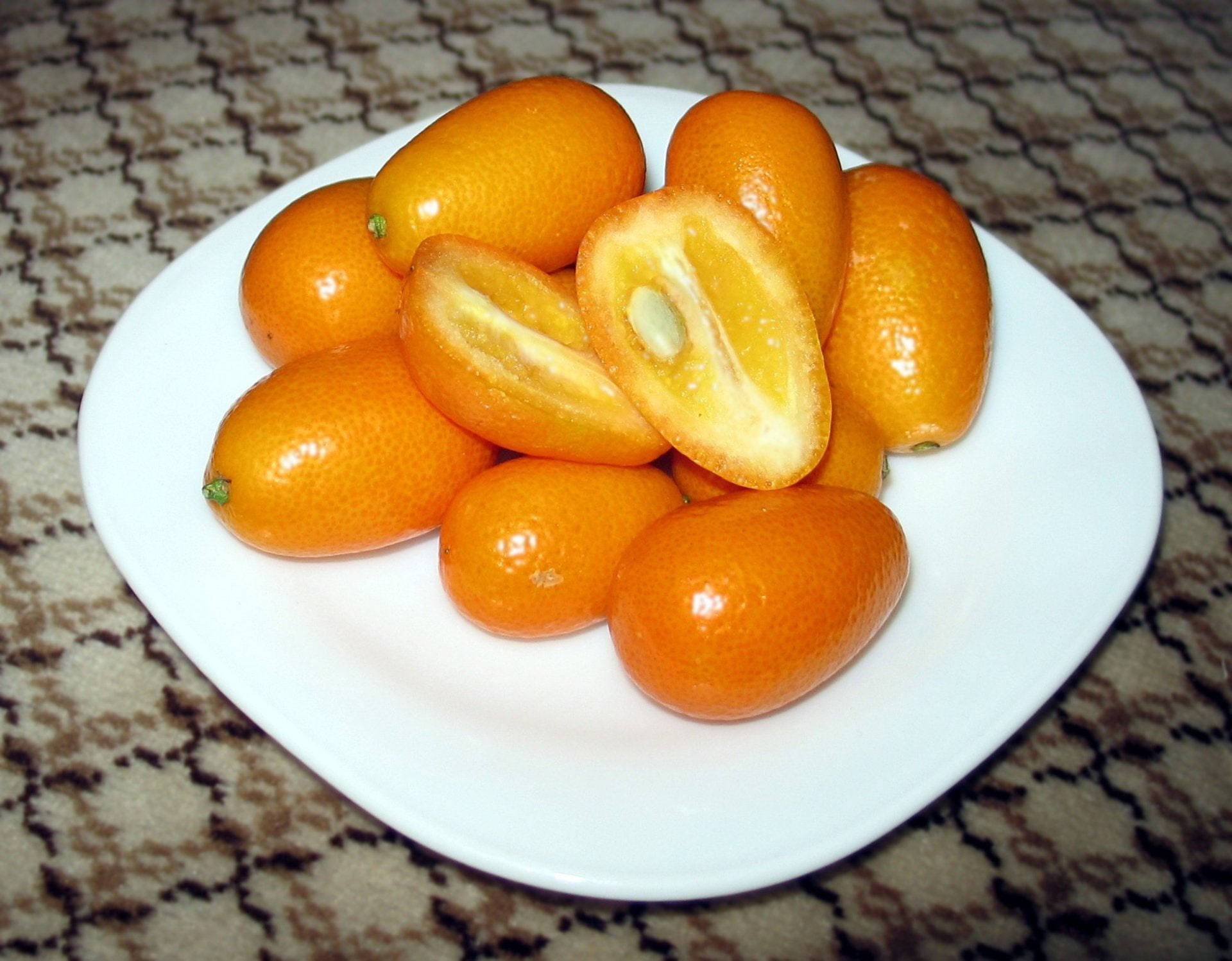 kumquat, white plate, bright orange, Full HD Desktop Wallpaper