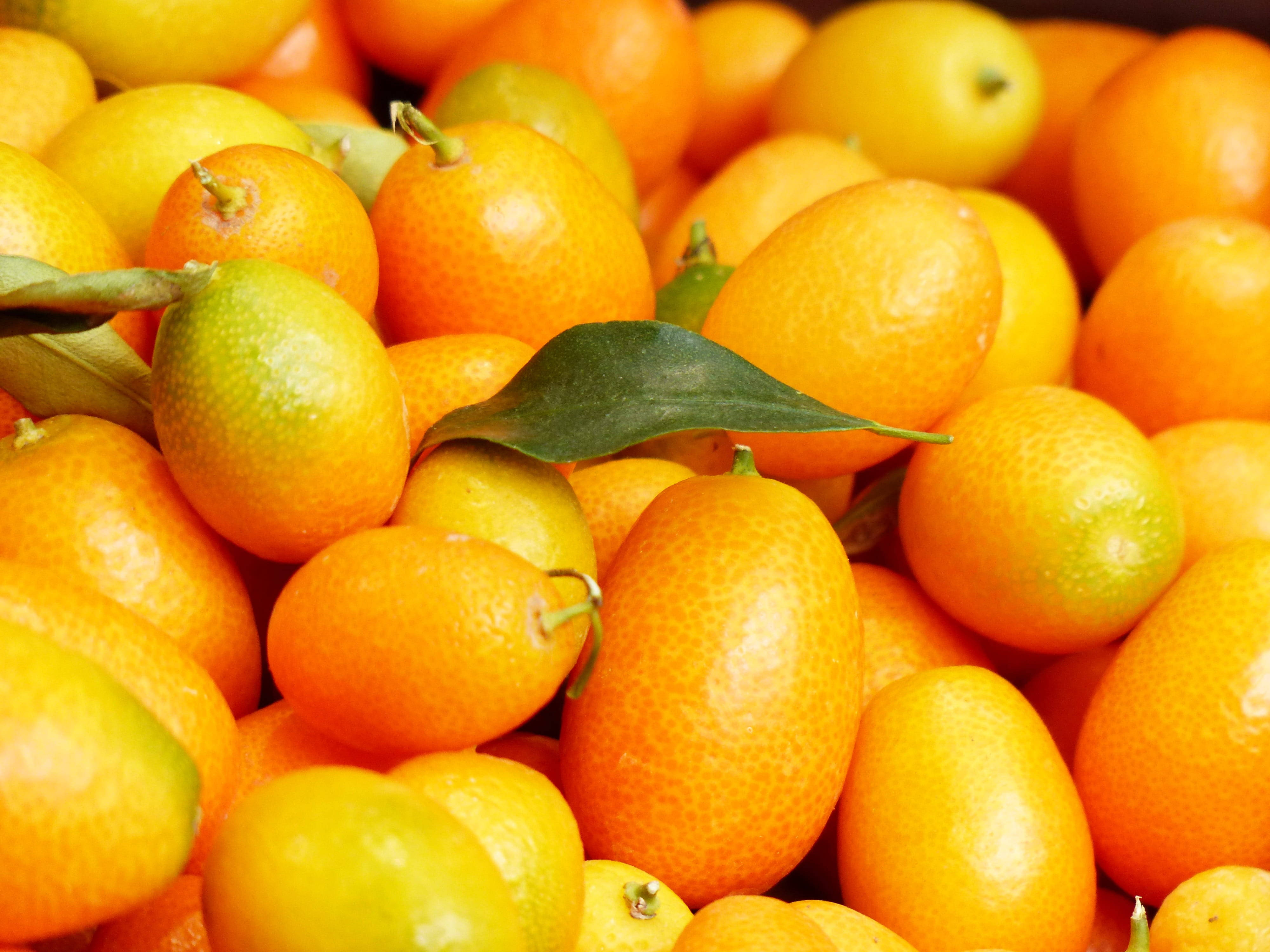 kumquat, glossy orange skin, fresh green leaves, 4K Desktop Wallpaper