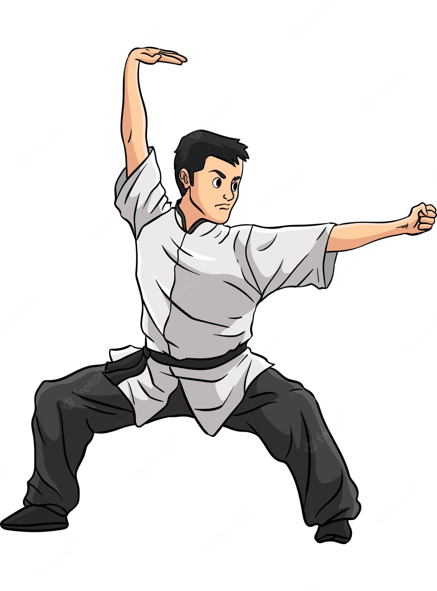 Kung Fu, martial arts cartoon, white top, Full HD Phone Wallpaper