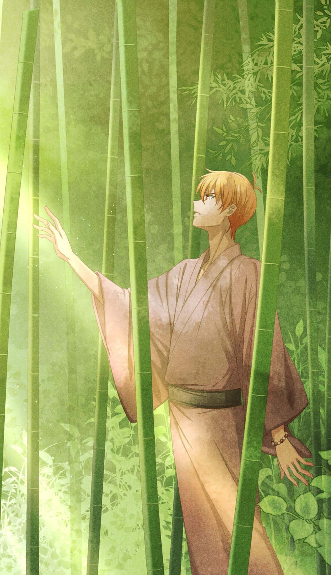 Kyo Sohma, full cat form, brown robe, HD Phone Wallpaper