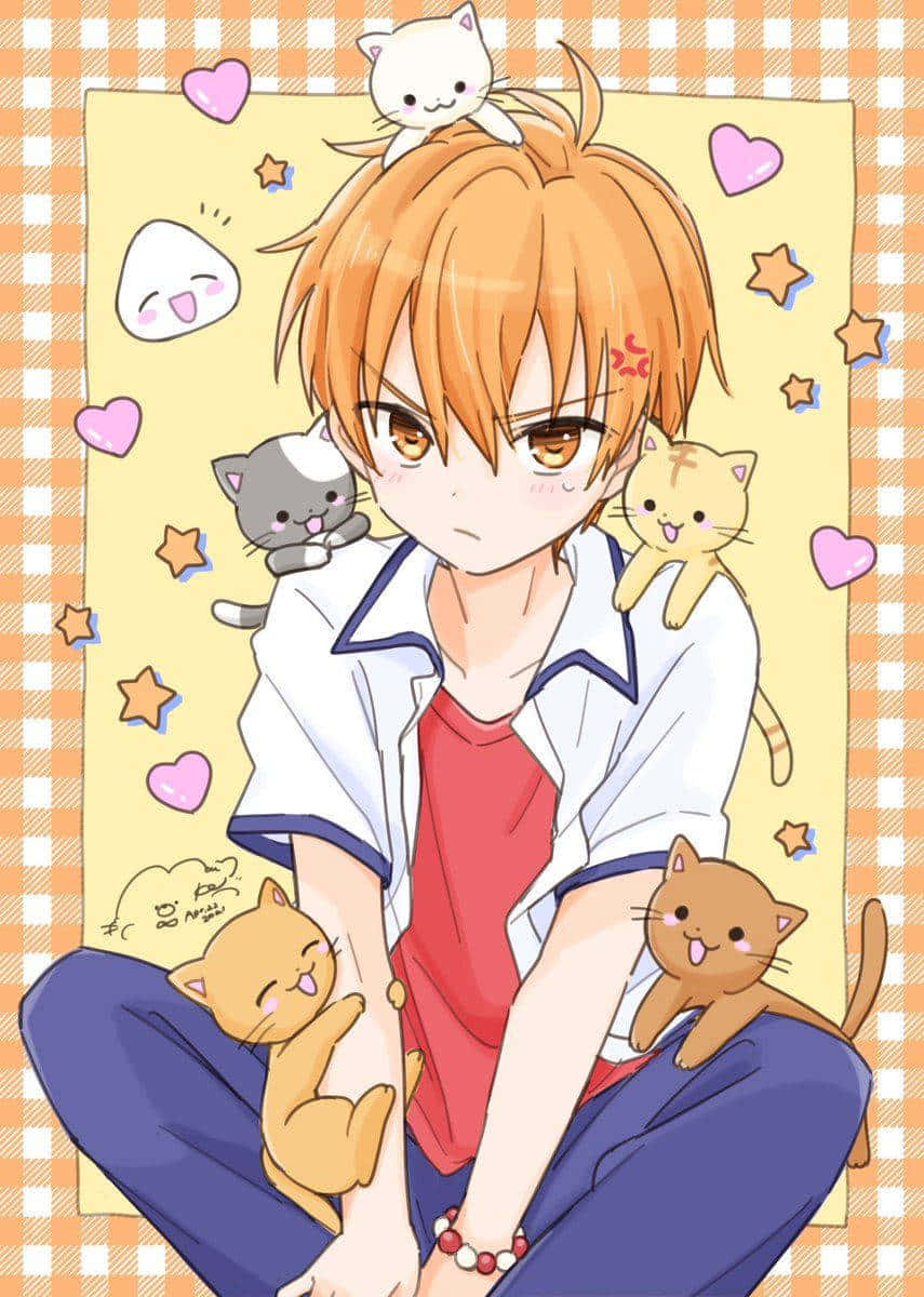 Kyo Sohma, orange hair, five cute cats, SD Phone Wallpaper