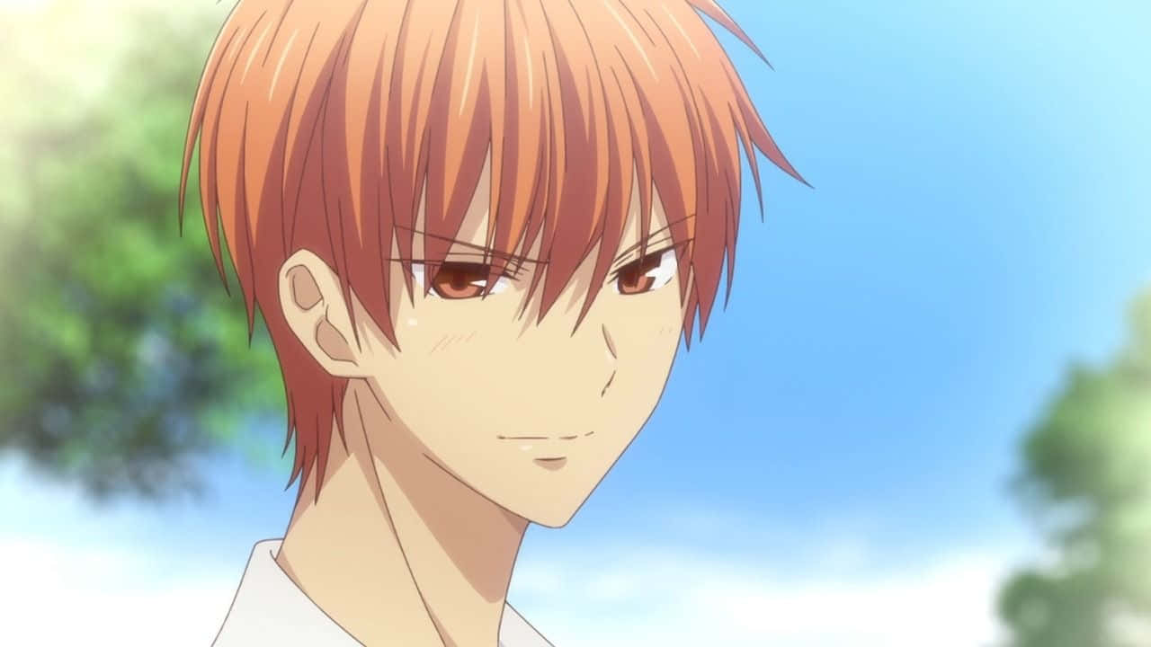 Kyo Sohma, red cat form, orange hair, HD Desktop Wallpaper