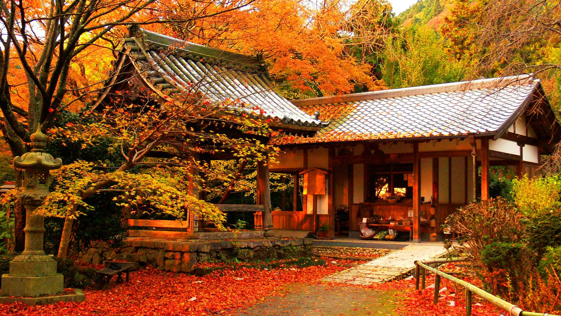 Kyoto, maple house, traditional Japanese temple, Full HD Desktop Wallpaper