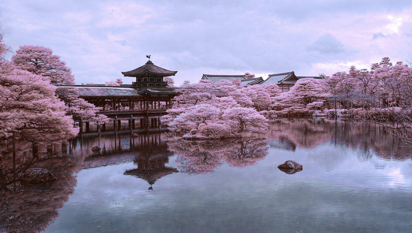 Kyoto, sakura pond, traditional wooden pavilions, HD Desktop Wallpaper